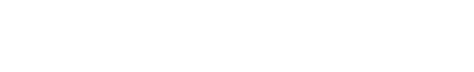 Cipauto Seguros